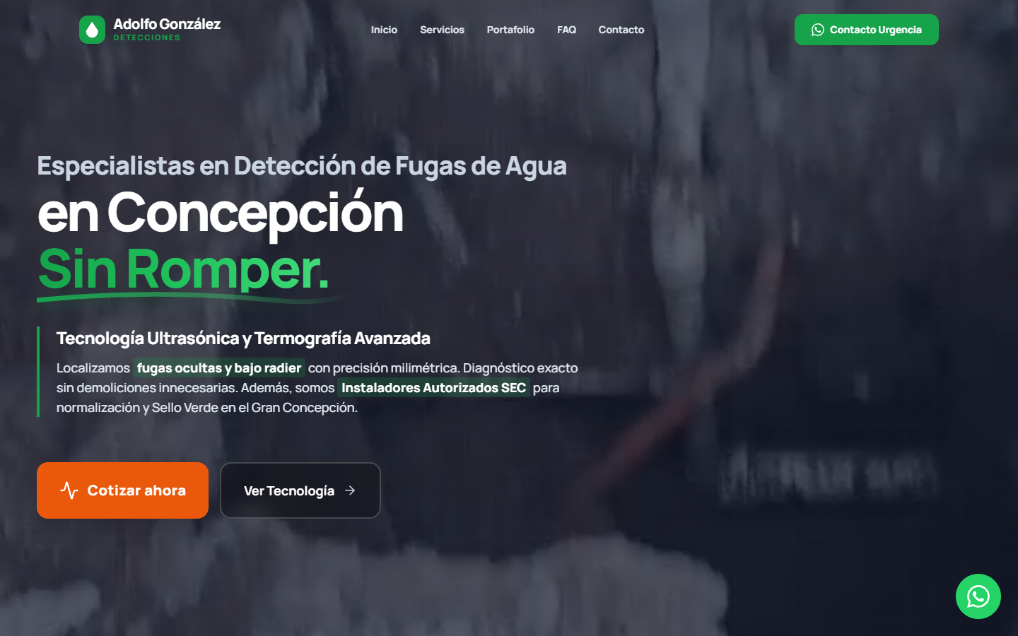 Vista de Detecciones Adolfo Gonzales